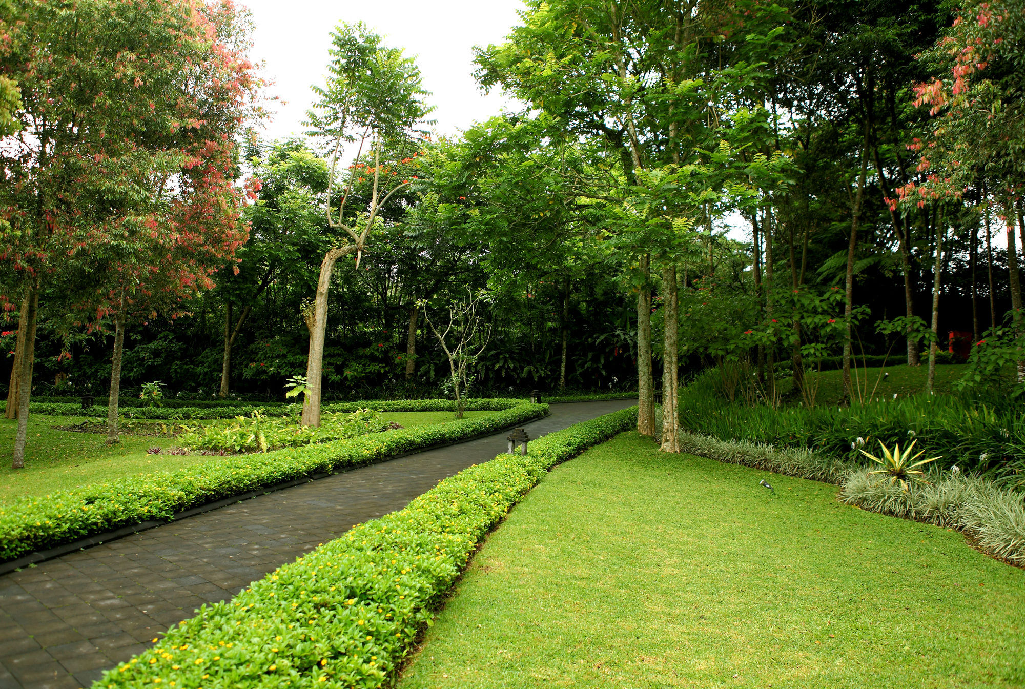 Villa Puri Candikuning Baturiti Exterior foto